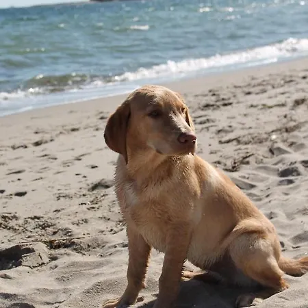 Apartment Forsthaus Wendt *