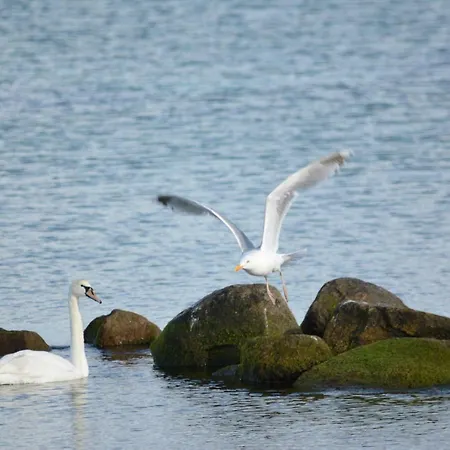 Forsthaus Wendt Apartment