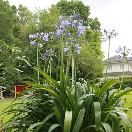 Forsthaus Wendt Apartment Timmendorfer Strand