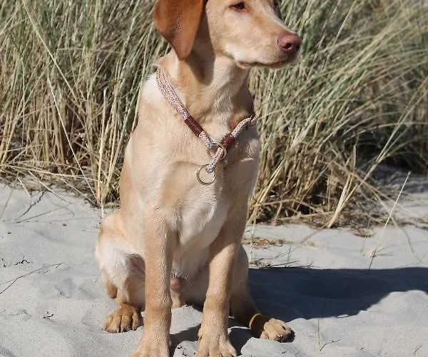 Forsthaus Wendt * Timmendorfer Strand