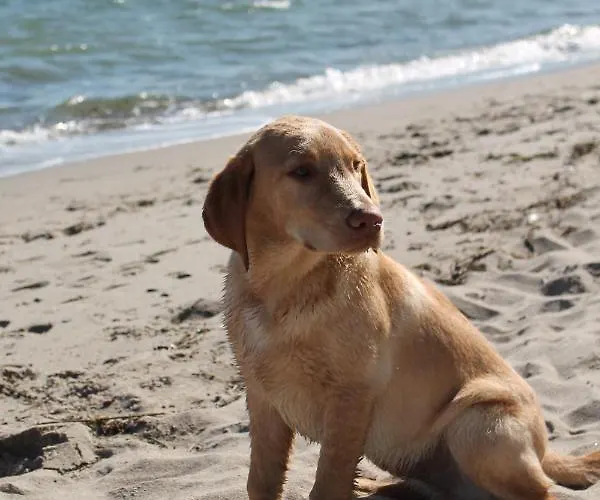 Apartamento Forsthaus Wendt *