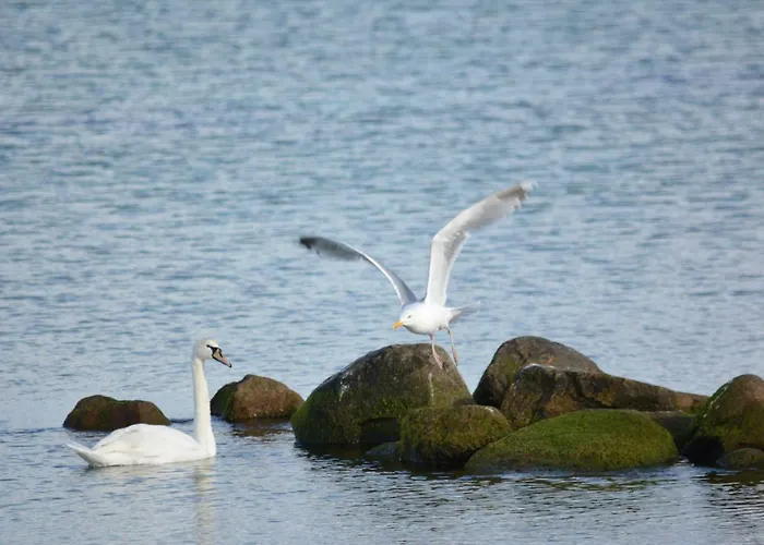 Forsthaus Wendt Apartamento