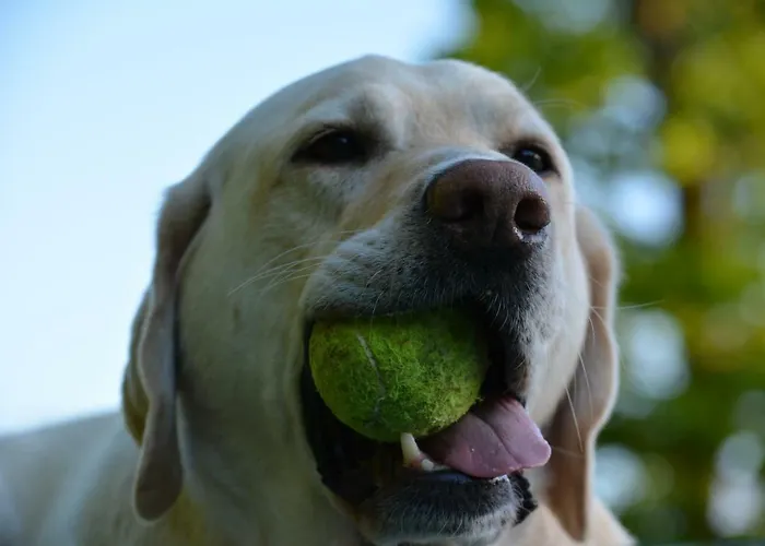 Appartement Forsthaus Wendt Timmendorfer Strand