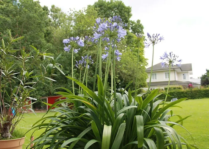 Forsthaus Wendt Appartement Timmendorfer Strand